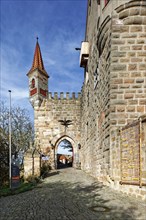 Entrance gate with watchtower