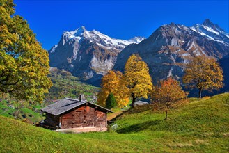 Mountain hut above Grindelwald