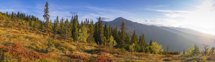 Autumnal mountain landscape with dwarf shrubs