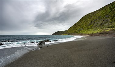 Coast with black sand beach