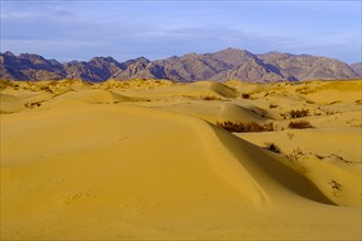Sand dunes of Elsen Tasarkhai