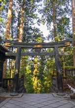Torii gate at Tosho-gu Shrine from the 17th century