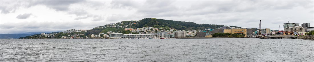 Panoramic view Wellington