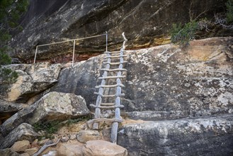 Leader descending into the canyon to Sipapu Bridge