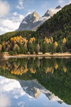 Mountains with autumn forest reflected in Lake Palpuogna