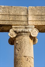 Close-up of Ionic column capital at Oval Plaza
