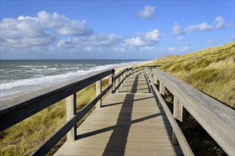 Wooden walkway in the dunes on the beach