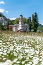 Flower meadow in front of the monastery St. Karl
