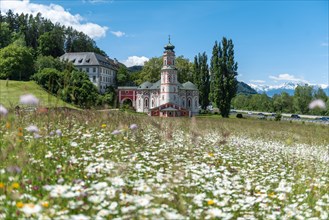 Flower meadow in front of the monastery St. Karl