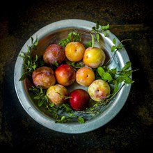 Variety of plums in a metal plate
