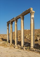 South Decumanus colonnade