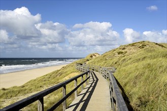Wooden walkway in the dunes on the beach