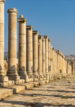 Columns of Cardo Maximus street