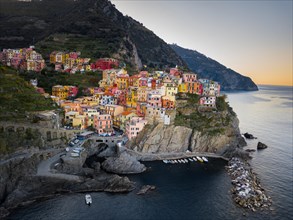 Colorful houses in the coastal town of Manarola