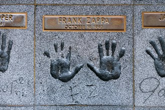 Hands of Frank Zappa