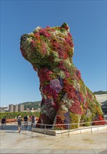Puppy sculpture from flowering plants by Jeff Koons outside Guggenheim Museum Bilbao