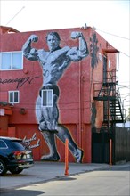 Wall painting by Arnold Schwarzenegger on a building at the speedway of Venice Beach