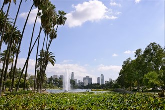 View from Echo Park to the skyline of downtown Los Angeles