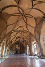 Medieval hall with ribbed vault