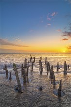 Old groynes in the North Sea at low tide