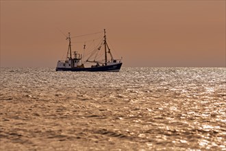 Fishing cutter on the North Sea at sunset