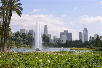 View from Echo Park to the skyline of downtown Los Angeles