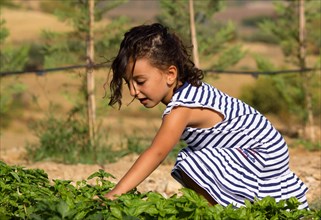 Little girl in garden