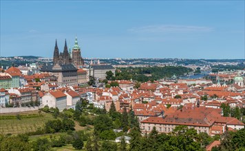 View from Petrin Park to St Vitus Cathedral and Prague Castle