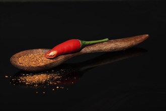 Dried chili powder in a wooden spoon with a fresh Thai red chili