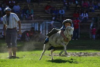 Child Rides on Sheep