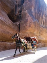 Tourists in a horse cart inside the Siq