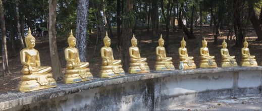 Row of Buddha statues at wat Ko Phayam temple