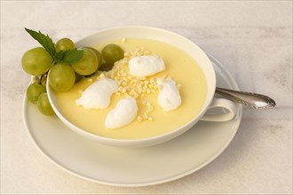 Swabian dessert in dessert bowl