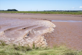 Tidal wave flows twice a day against the Petitcodiac River