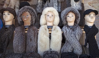 Mannequins with fur caps