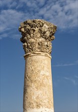 Column at Umayyad Palace