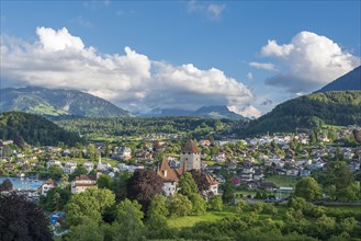 Cityscape with Castle Spiez