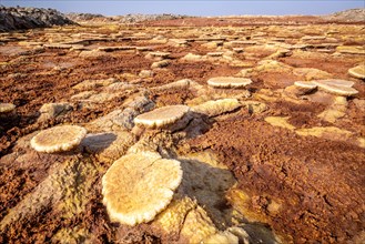 Dallol hydrothermal hot springs in the Danakil depression at the Afar Triangle