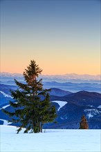 Evening atmosphere at the wintery summit of the Belchen at sunset