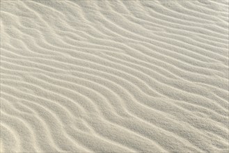 Sand drifts