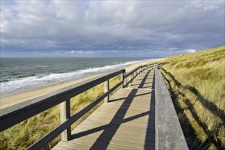 Boardwalk in the dunes