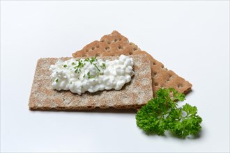 Cream cheese on crispbread with parsley