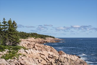 Coastal landscape on the east coast of Cape Breton Highlands National Park
