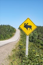Road sign warns of crossing moose