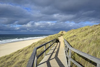 Boardwalk in the dunes
