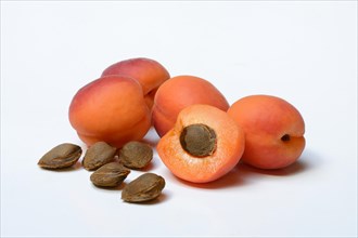 Apricots and apricot kernels