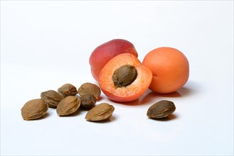 Apricots and apricot kernels