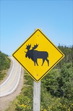 Road sign warns of crossing moose