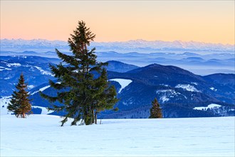 Evening atmosphere at the wintery summit of the Belchen at sunset