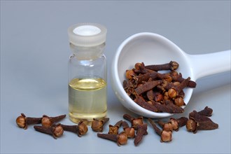 Bottle of clove oil and cloves on spoon